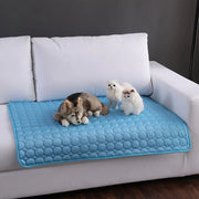 Royal Canine Chill Pad - Pawtique Royale Edition